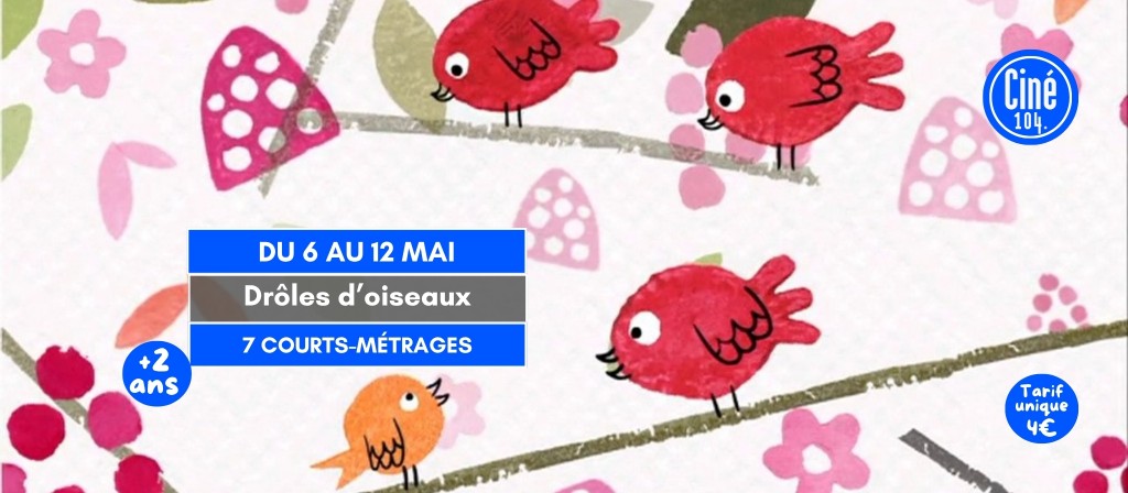 actualité DROLES D OISEAUX