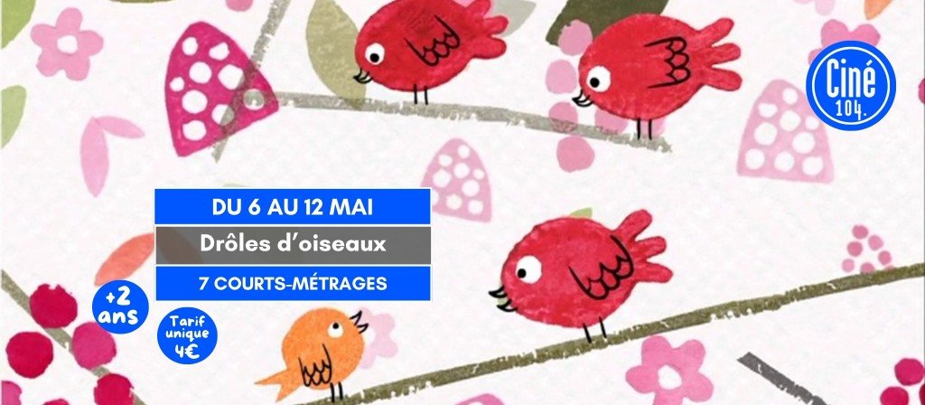 actualité DROLES D OISEAUX
